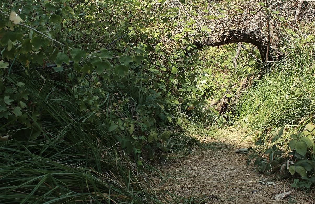 Nature Path